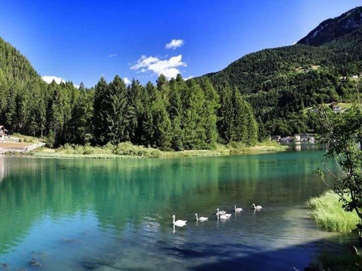 Appartamento Italia Alleghe Exteriör bild